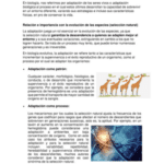 Adaptación biológica: definición clasificaciones y ejemplos relevantes