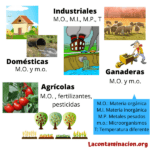 Aguas residuales: definición y tipos principales