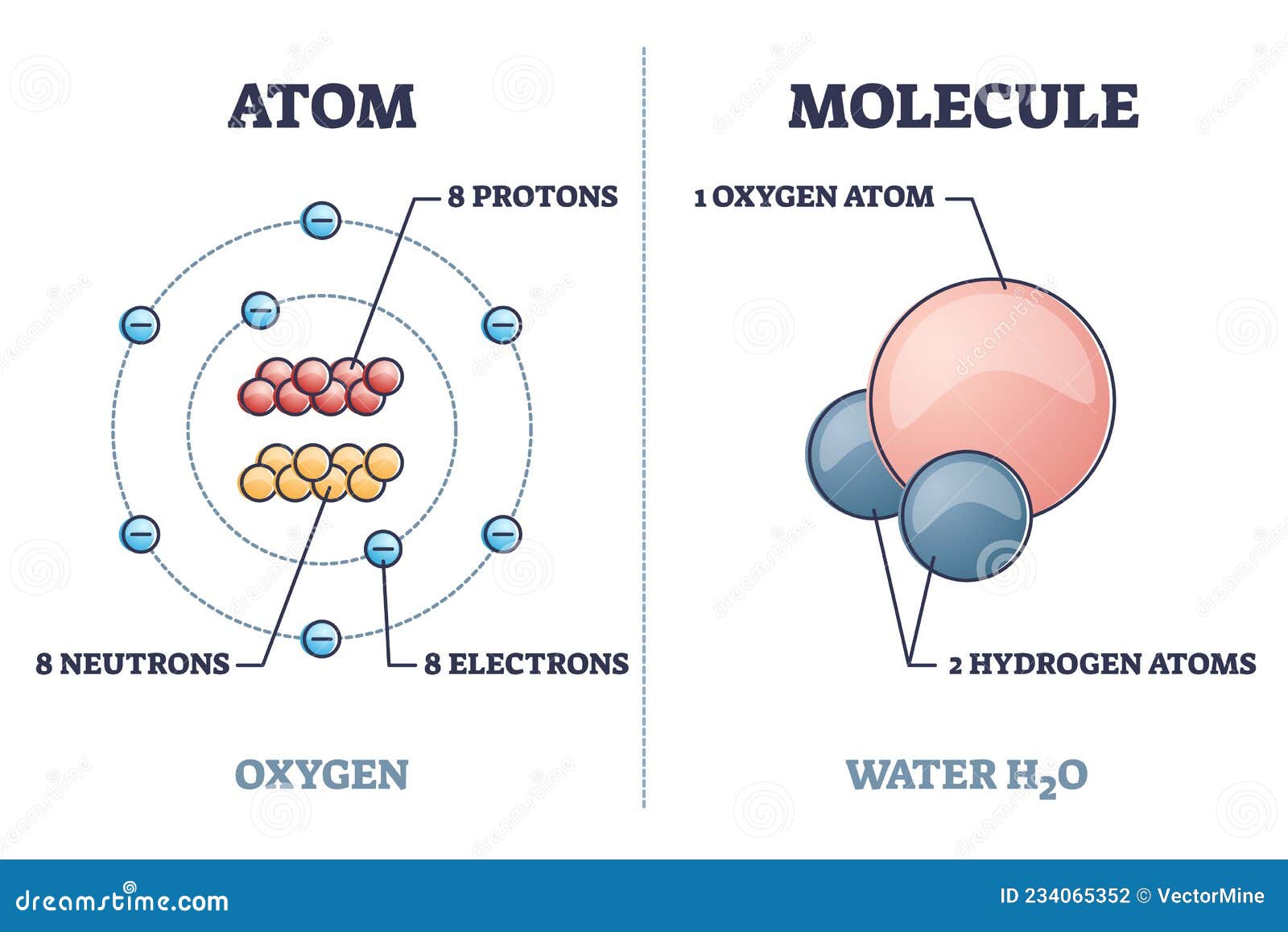 Átomo y molécula: Claves de la materia y sus diferencias