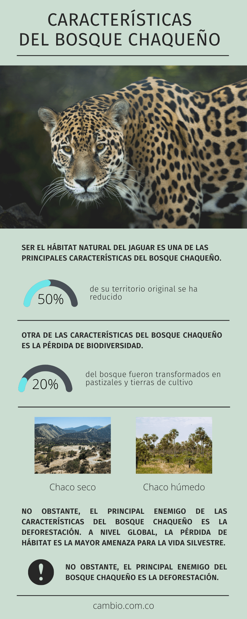Bosque Chaqueño: Fauna Flora y Características Esenciales