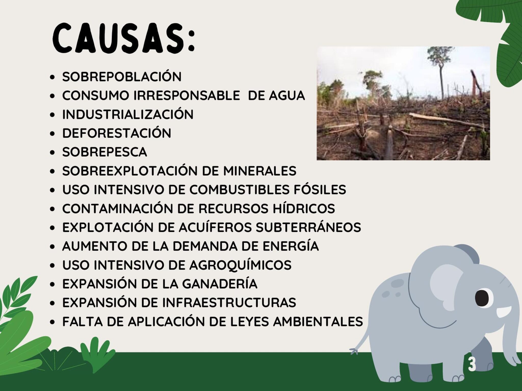 Causas y consecuencias de la sobreexplotación de recursos naturales