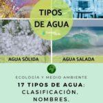 Clasificación de las diferentes formas de agua