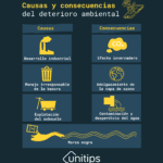 Degradación ambiental: causas consecuencias y ejemplos clave
