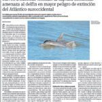 Delfines en riesgo de extinción: una llamada urgente