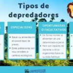 Depredadores y presas: características y ejemplos destacados