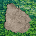 Desafíos ecológicos que enfrenta Uruguay hoy