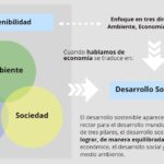 Desarrollo sostenible: Definición y ejemplos clave