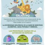 Día Mundial de los Animales: motivos fechas y mensajes destacados
