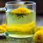 Diente de león: beneficios usos precauciones y cultivo