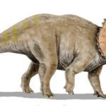 Dinosaurios herbívoros: características clasificación e ilustraciones detalladas