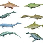 Dinosaurios marinos: variedad y rasgos distintivos