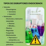 Disruptores endocrinos: definición y productos a evitar