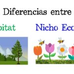 Distinción entre hábitat y nicho ecológico en ecología