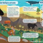 Diversidad biológica: Variedades y su importancia en el ecosistema