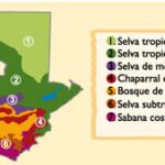 Diversidad de Biomas en Guatemala