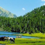 Diversidad natural de la flora y fauna en España
