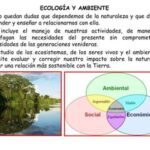 Ecofisiología: Definición y ejemplos relevantes en la naturaleza