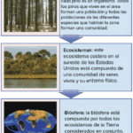 Ecología: definición ramas y áreas de estudio principales