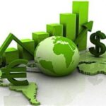 Ecología y empresas: un camino hacia la sostenibilidad