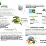 Ecología y medio ambiente: principales diferencias y conceptos clave