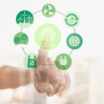 Economía verde: fundamentos y metas esenciales