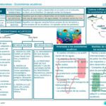 Ecosistema acuático: características tipos y ejemplos esenciales