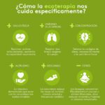 Ecoterapia: beneficios técnicas y su impacto en el bienestar