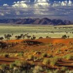 Ecotono: definición y ejemplos de esta interesante zona ecológica