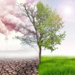 Efecto invernadero: Naturaleza vs Intervención humana