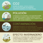 Efectos del dióxido de carbono en el medio ambiente