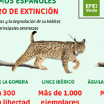 Ejemplos de especies únicas de la biodiversidad española