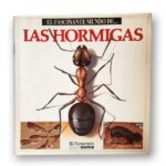 El fascinante lenguaje de las hormigas en su comunidad