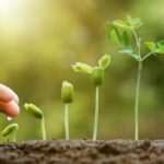El fascinante proceso de crecimiento de las plantas