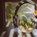 El impacto de la música en las plantas