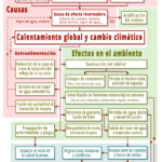 Emergencia climática: definición y efectos en nuestro entorno
