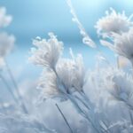 Encanto de las flores en la temporada de invierno