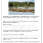 Entendiendo el concepto de ecosistema mixto