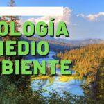 Entendiendo la ecología social y su impacto en la sociedad