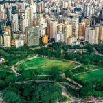 Entendiendo la ecología urbana y su impacto en nuestra vida