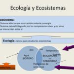 Entendiendo la ecosfera y sus componentes esenciales