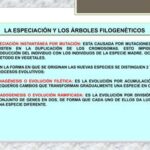 Entendiendo la especiación: conceptos y casos ilustrativos