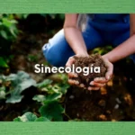 Entendiendo la sinecología y sus aplicaciones prácticas