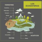 Entendiendo las especies nativas y autóctonas en su hábitat