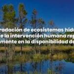 Entendiendo las marismas: características y ecosistemas