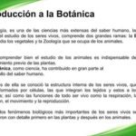 Entiende la botánica: su definición y áreas de estudio