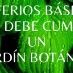 Entiende la esencia de un jardín botánico