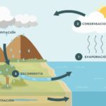 Entiende la evaporación del agua con ejemplos prácticos