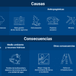 Erosión del suelo: causas y consecuencias esenciales