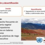 Erosión eólica: características clasificaciones y casos prácticos