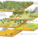 Espacio geográfico: definición elementos y casos ilustrativos